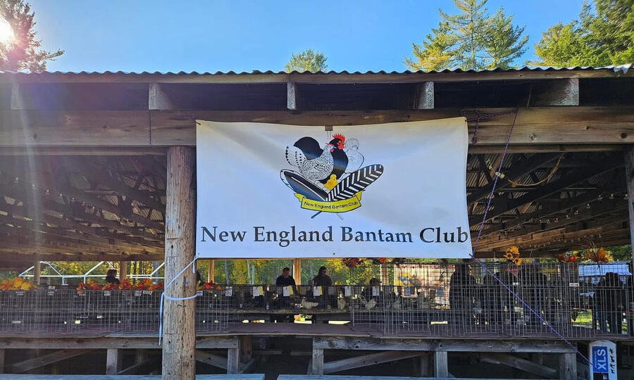 NEBC Logo