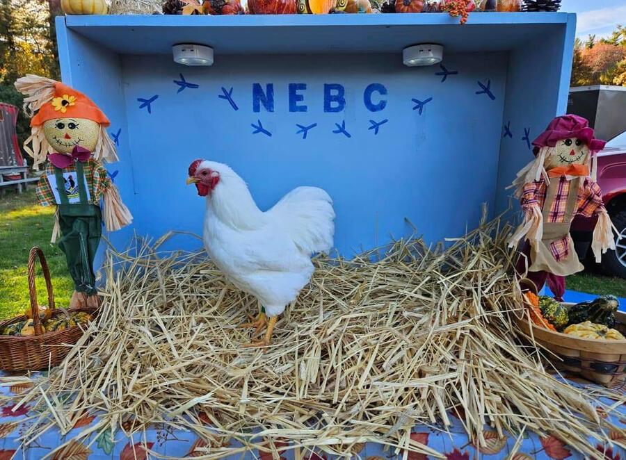 NEBC Logo